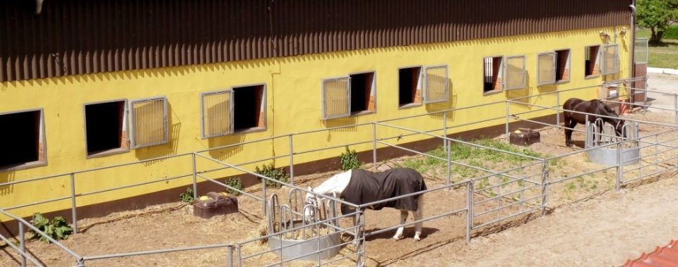 Pferdehof Schmiedeberg GbR
