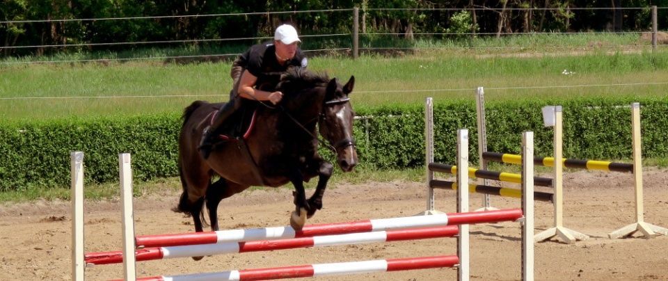 Pferdehof Schmiedeberg GbR
