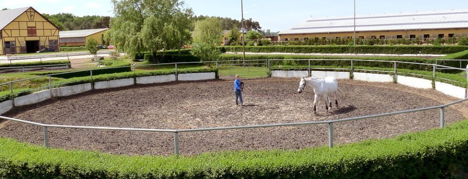 Pferdehof Schmiedeberg GbR
