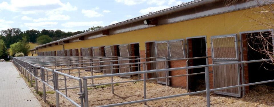 Pferdehof Schmiedeberg GbR
