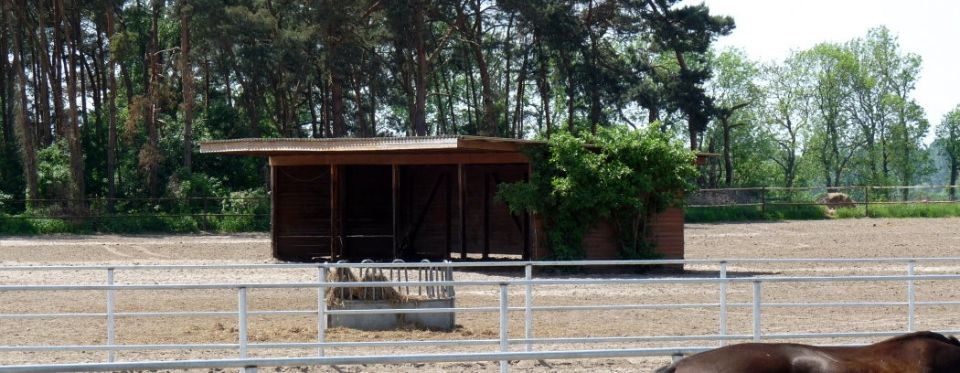 Pferdehof Schmiedeberg GbR
