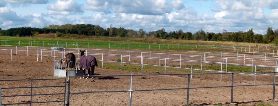 Pferdehof Schmiedeberg GbR

