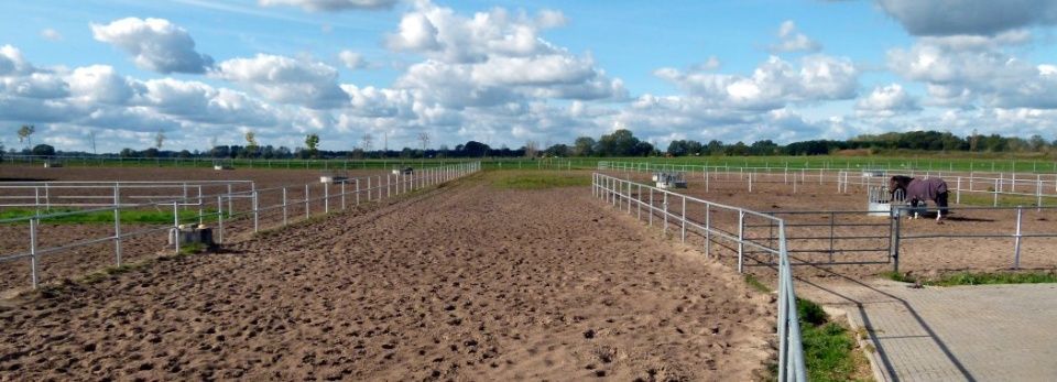 Pferdehof Schmiedeberg GbR
