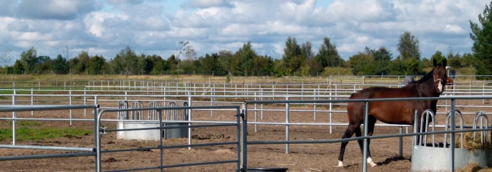 Pferdehof Schmiedeberg GbR
