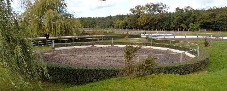 Pferdehof Schmiedeberg GbR
