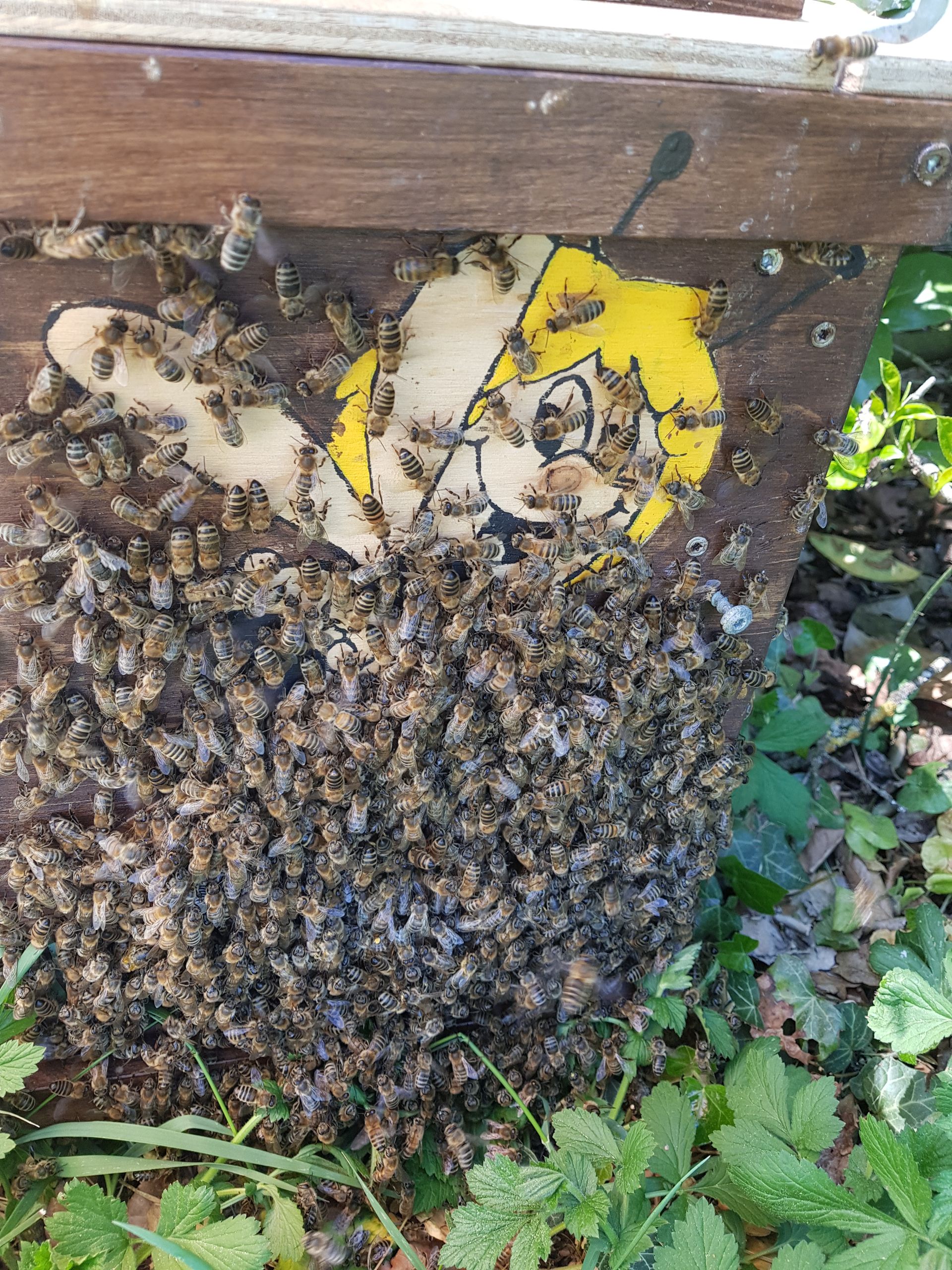 Bienen schwärmen vor einem hölzernen Bienenstock, der mit einer gelb-weissen Comicfigur verziert ist.