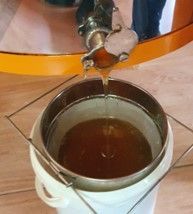 Honig fließt aus einer Metallschleuder in ein Sieb, das über einem weissen Eimer steht.