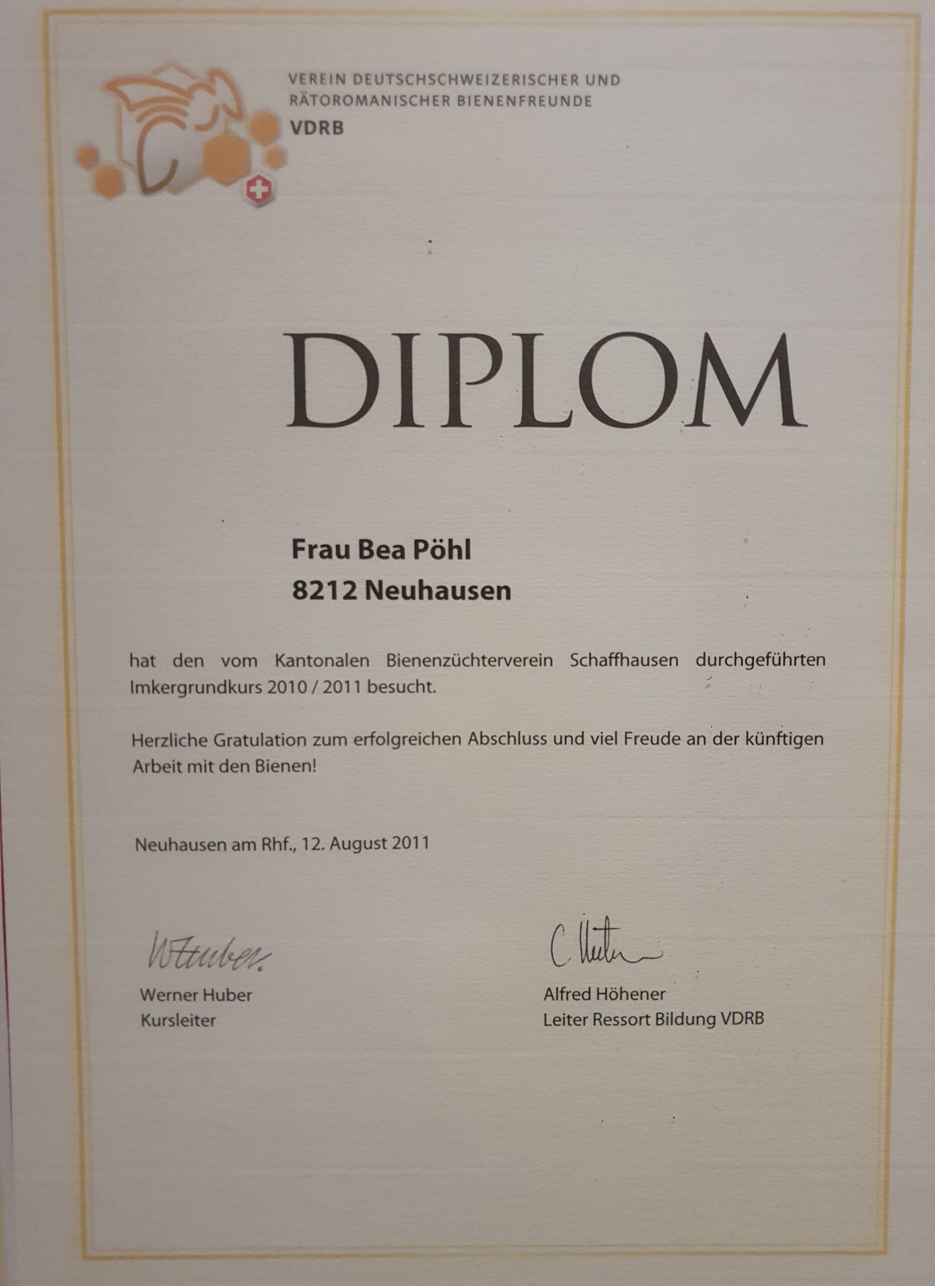 Eine Biene sammelt Pollen von einem Büschel kleiner rosa Blüten an einem Zweig.