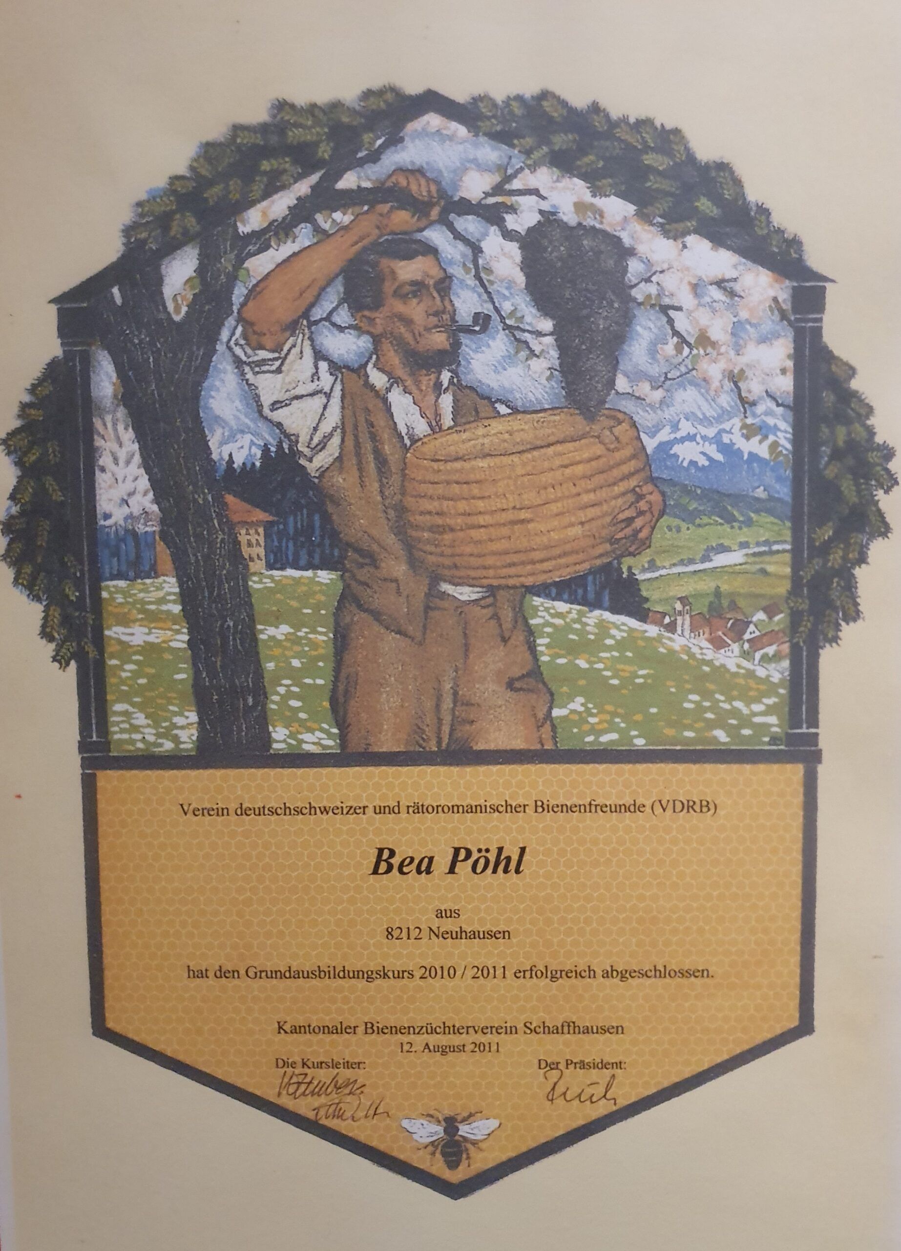 Eine Biene sammelt Pollen von einem Büschel kleiner rosa Blüten an einem Zweig.