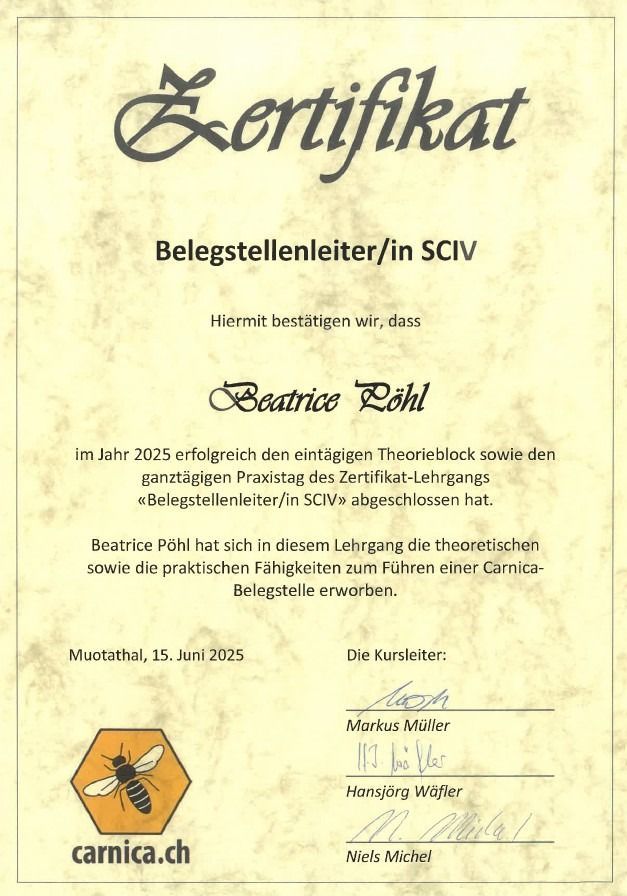 Gelbe, bandartige Blüten blühen an kahlen Zweigen, möglicherweise Zaubernuss. Hintergrund unscharf.