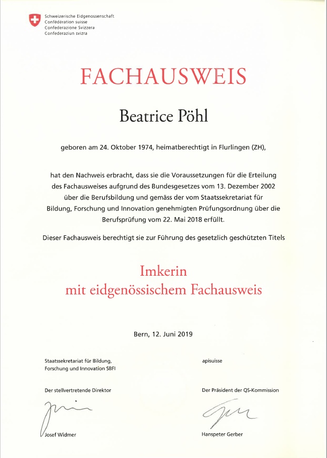 Eine Biene sammelt Pollen von einem Büschel kleiner rosa Blüten an einem Zweig.