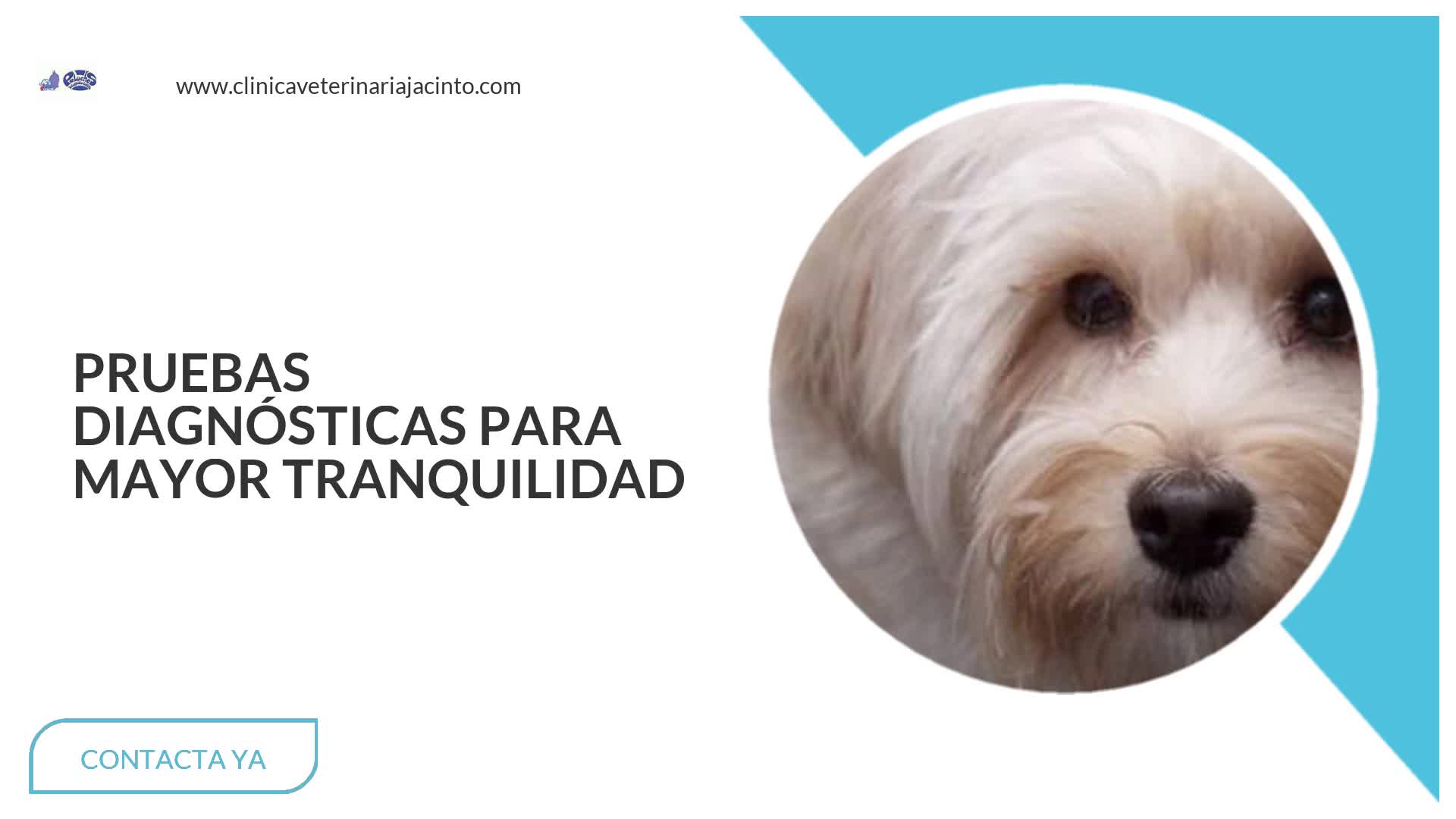 Clínica Veterinaria Jacinto Benavente