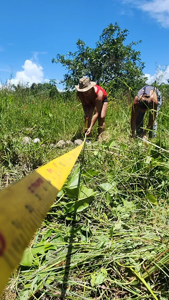 Dos personas miden el terreno con una cinta métrica amarilla al aire libre en un día soleado.