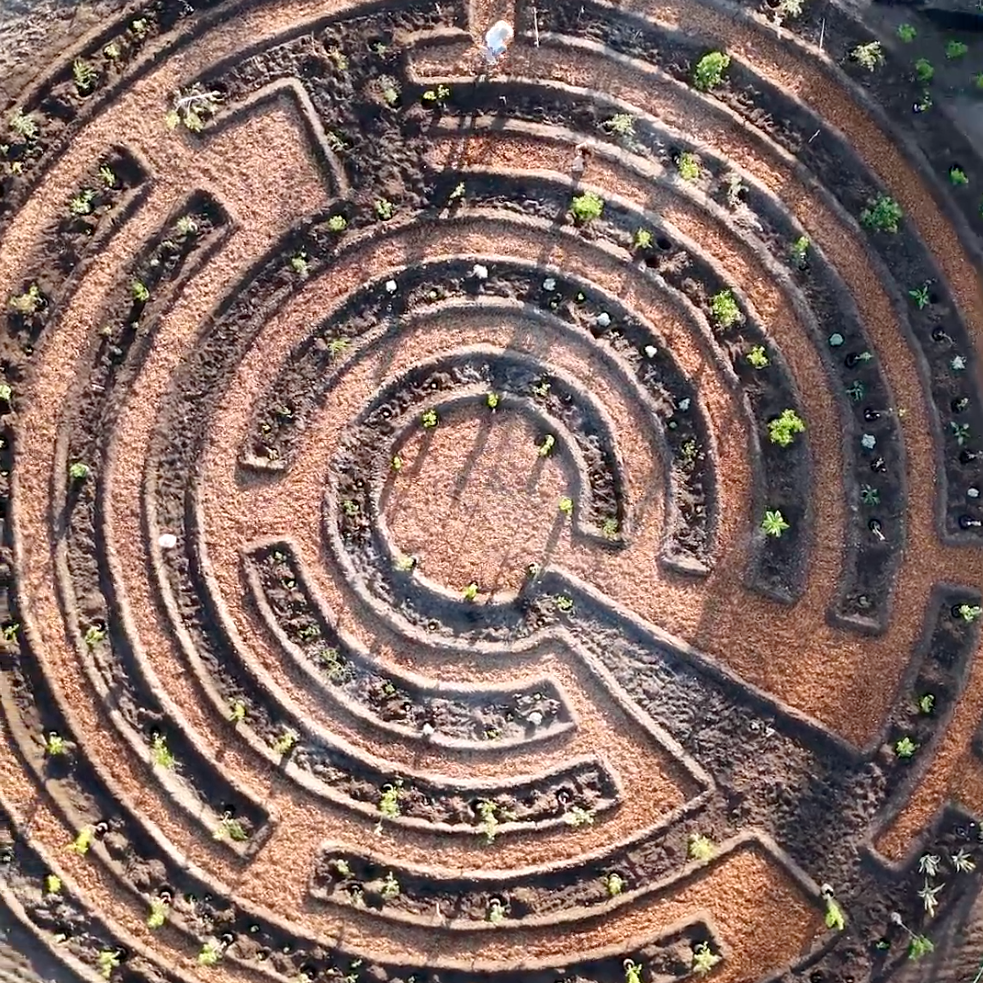 Mujer con shorts vaqueros cuidando un jardín en la azotea con tierra oscura. Plantas y árboles exuberantes al fondo.