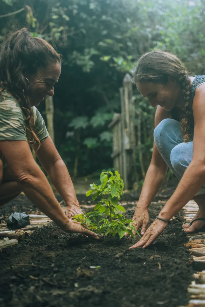 Dos mujeres plantando un árbol joven en tierra oscura, sonriendo al aire libre.