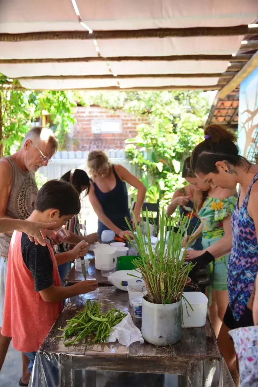 Personas en una mesa, probablemente al aire libre, preparando algo con plantas, posiblemente comida.