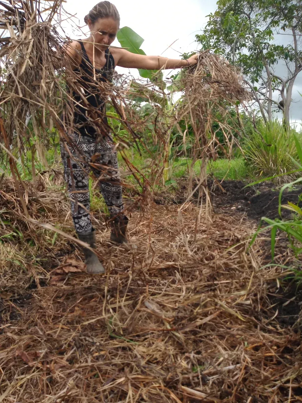 Mujer extendiendo hierba seca en un cantero de jardín, al aire libre.