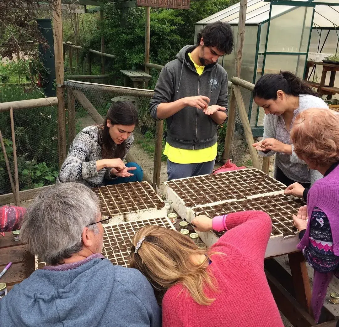 Personas plantando semillas en bandejas al aire libre, junto a un invernadero, en un entorno de jardín.