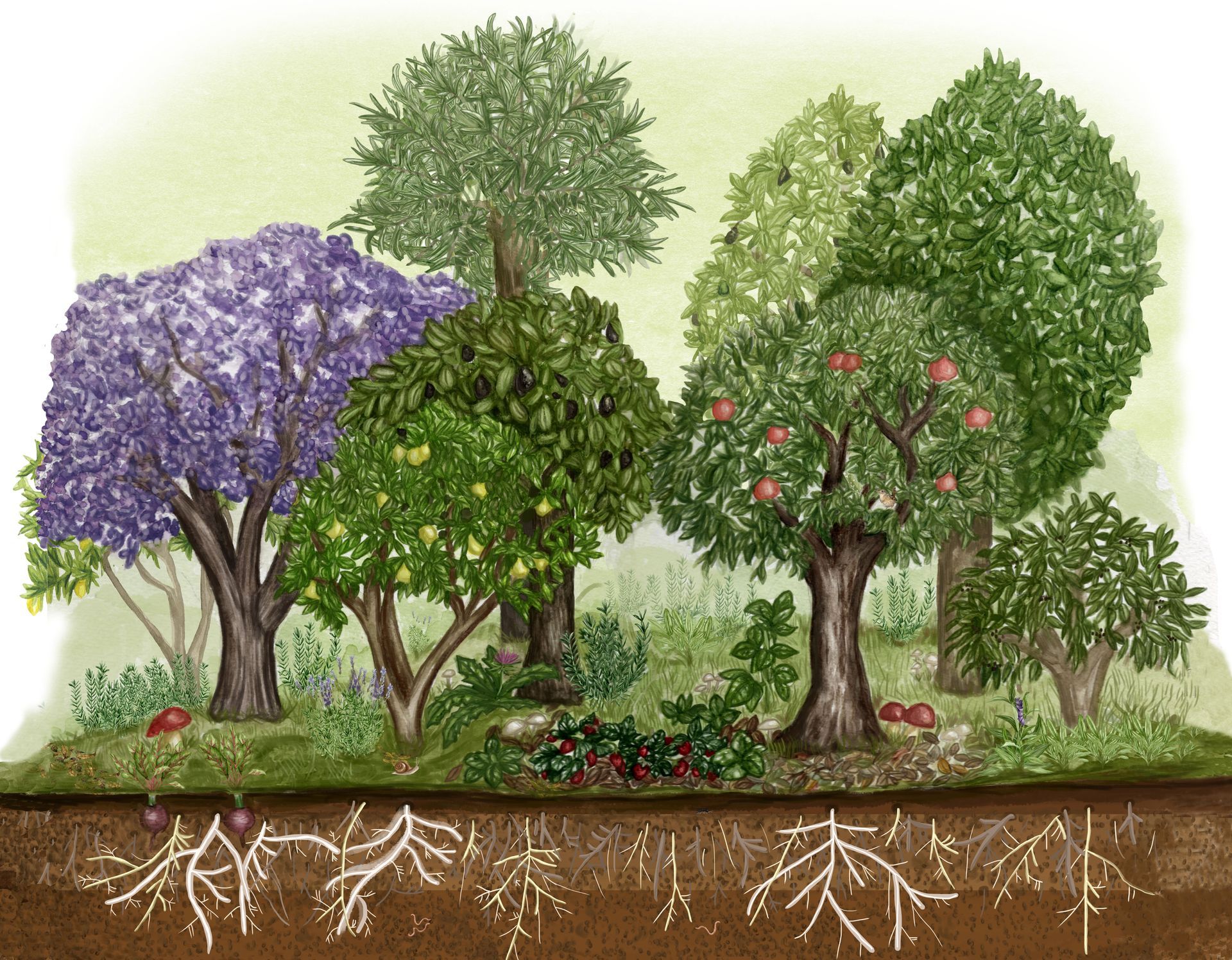 Mujer con shorts vaqueros cuidando un jardín en la azotea con tierra oscura. Plantas y árboles exuberantes al fondo.