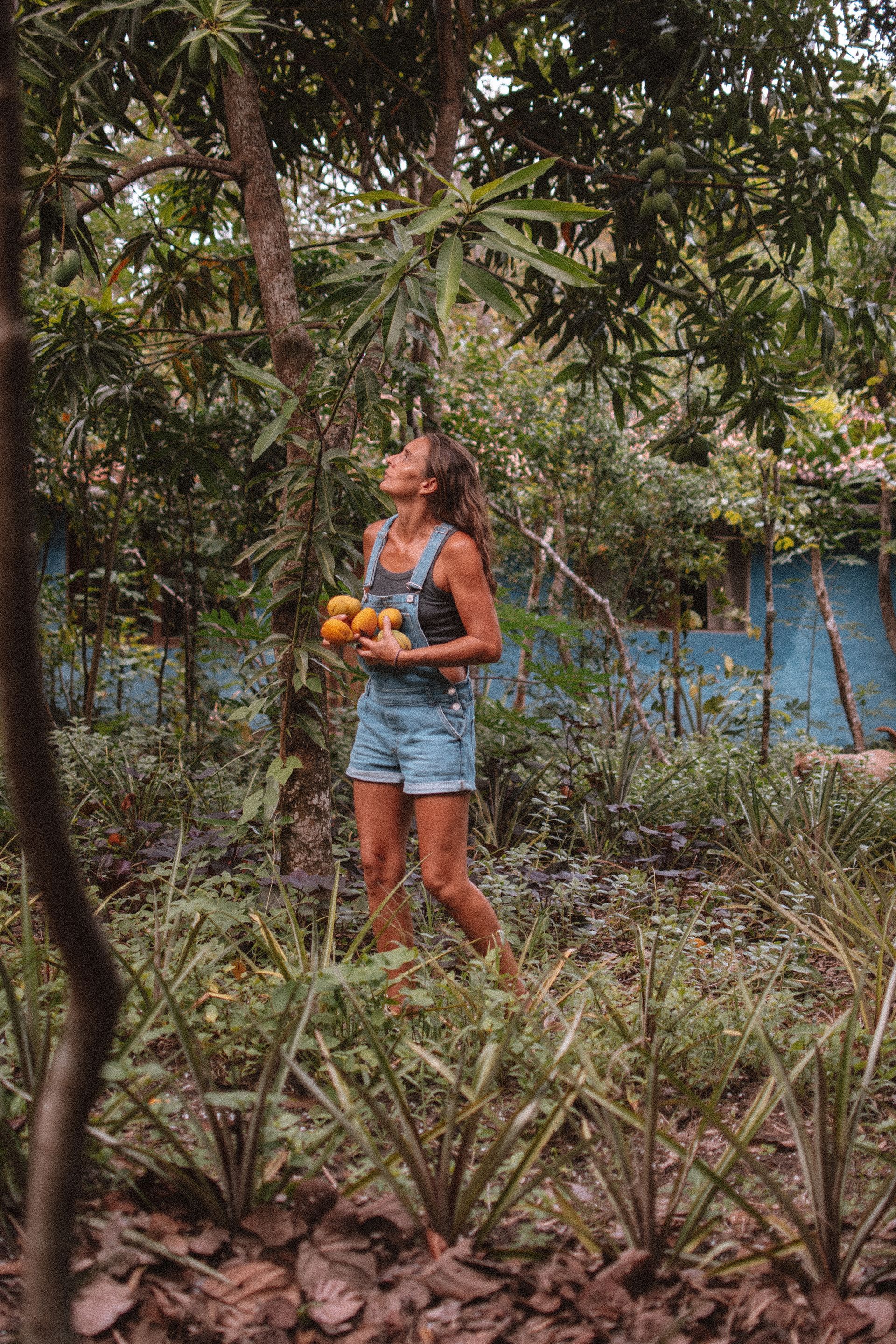 Mujer con shorts vaqueros cuidando un jardín en la azotea con tierra oscura. Plantas y árboles exuberantes al fondo.