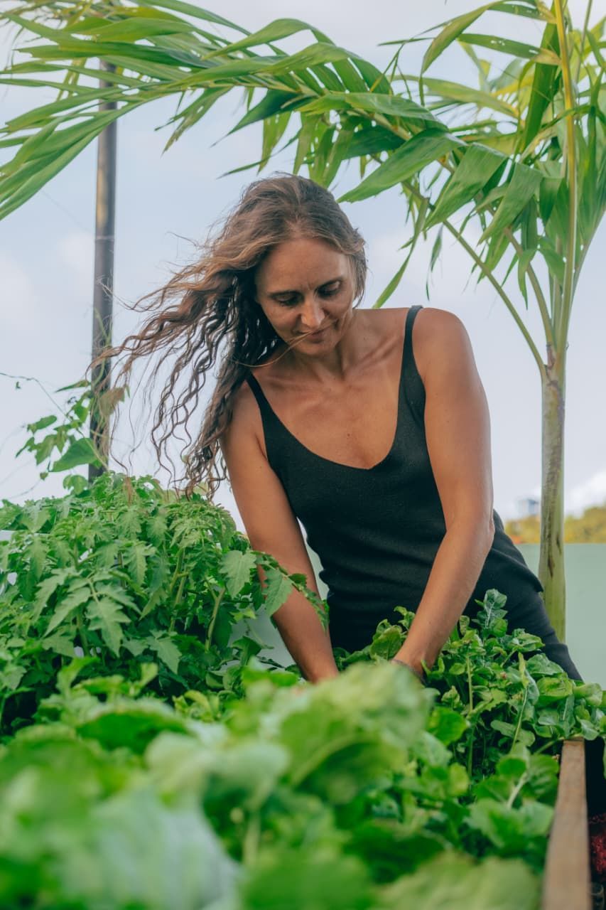 Mujer cuidando plántulas en un invernadero con bancos de madera. Hileras de plantas jóvenes.