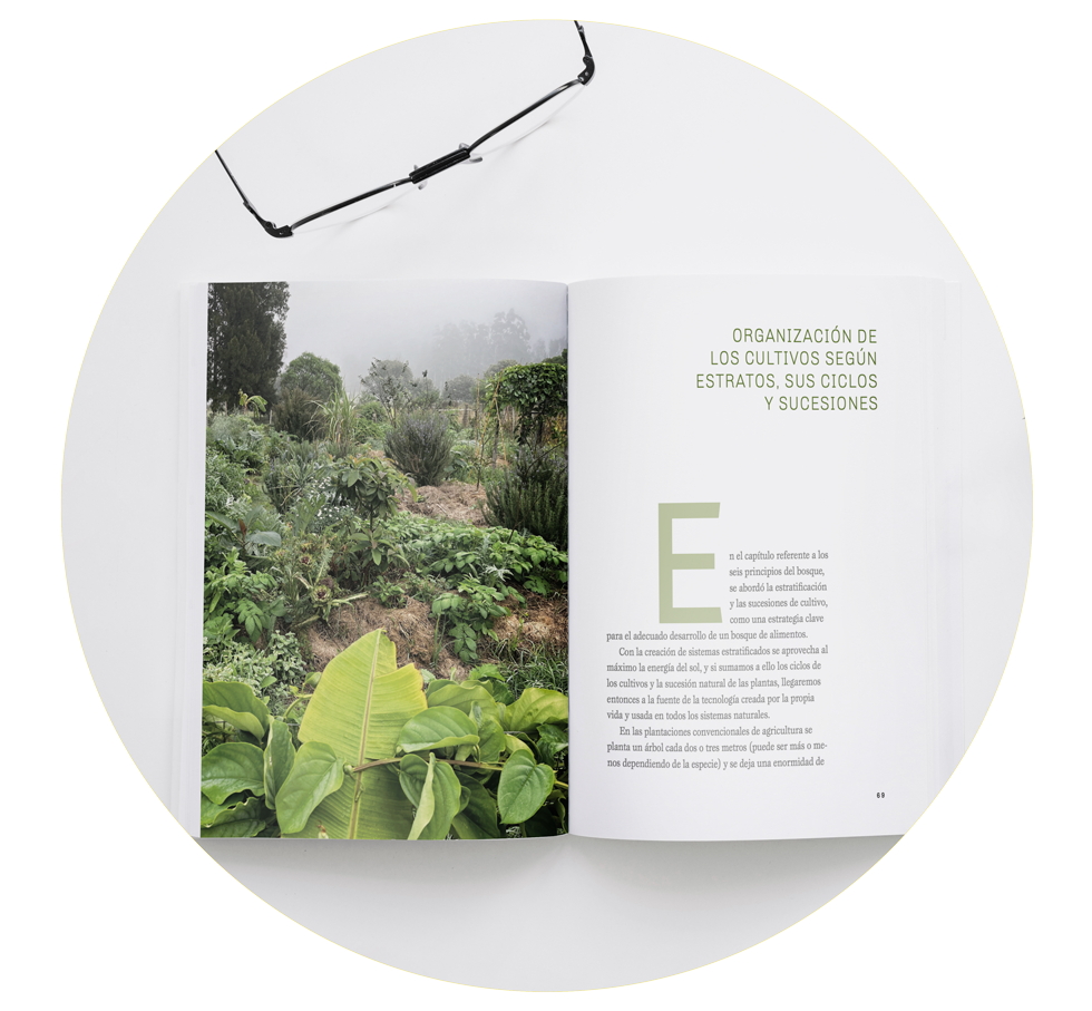 Libro abierto con una foto de la naturaleza y texto. Gafas encima. Fondo blanco.