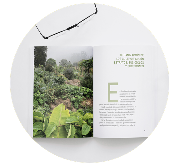 Libro abierto con una foto de la naturaleza y texto. Gafas encima. Fondo blanco.