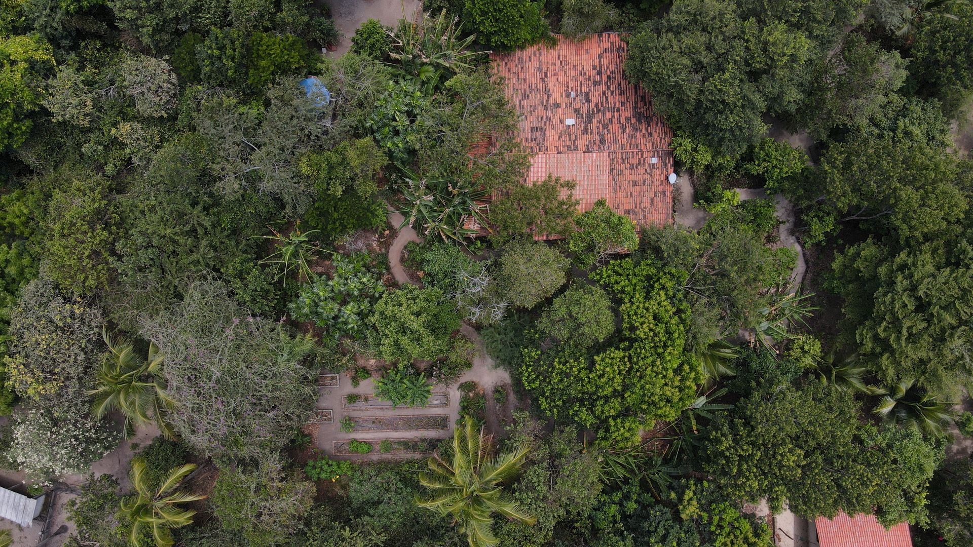 Vista aérea de un edificio con techo rojo rodeado de exuberantes árboles verdes y un pequeño jardín.