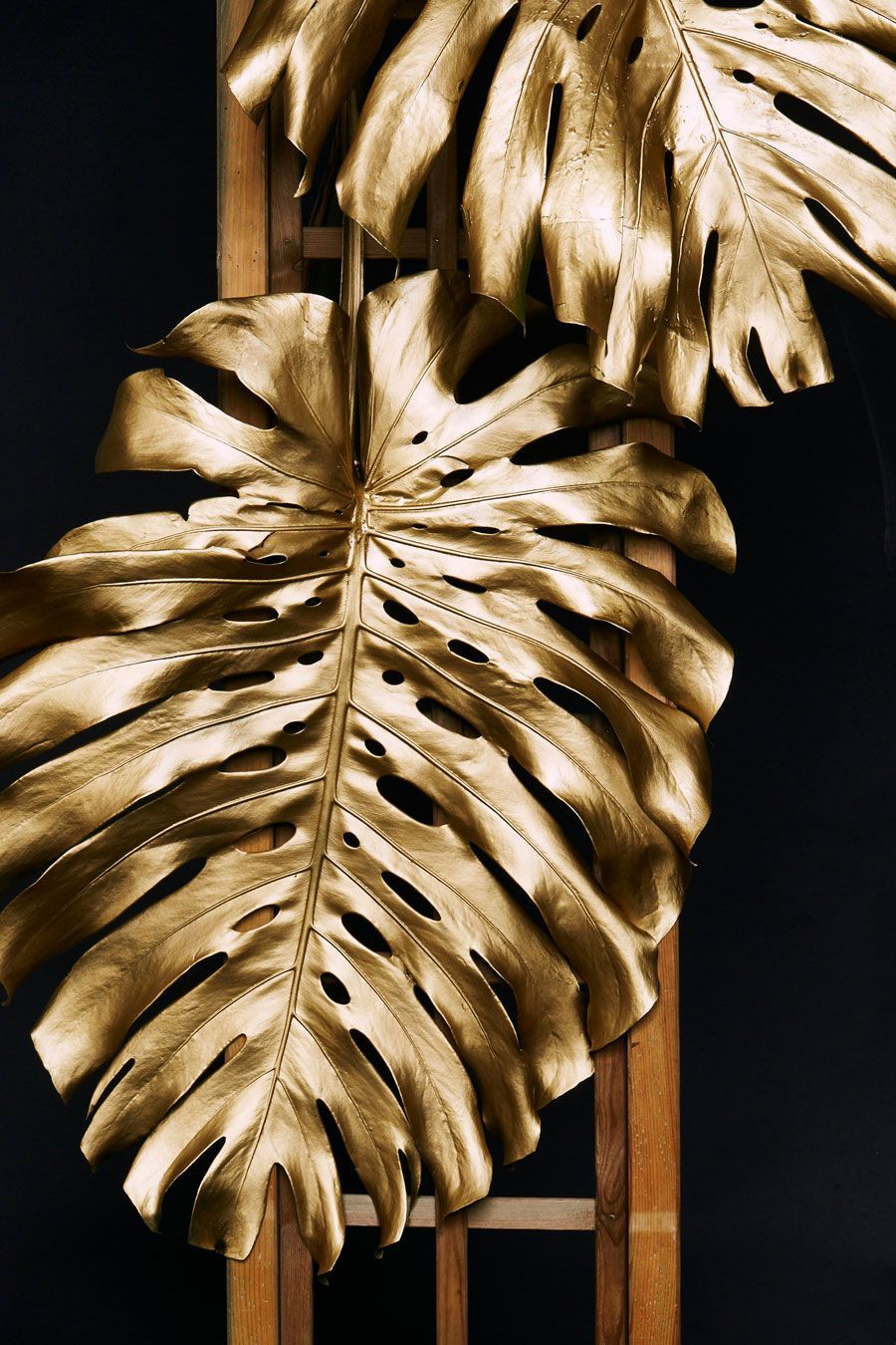 Goldenes Blatt als Symbol für Wert und Edelmetall beim Goldankauf in Hamburg Winterhude und Eppendorf