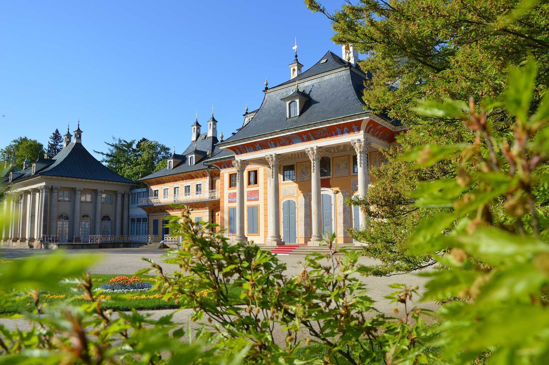 Praxis für Orthomolekulare Therapie, Mitochondrientherapie und Darmgesundheit