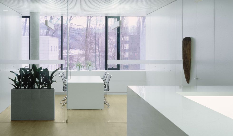 Ein Raum mit einem Tisch und Stühlen und einer Pflanze in einem Blumentopf.