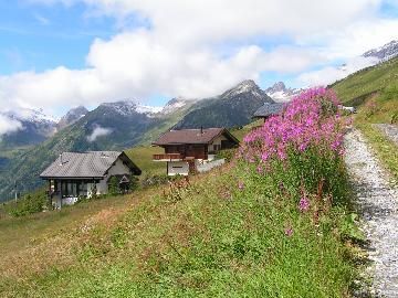 Ferienhaus Lauchernalp