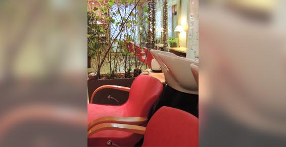 Coiffure mixte  - Coiffeurs