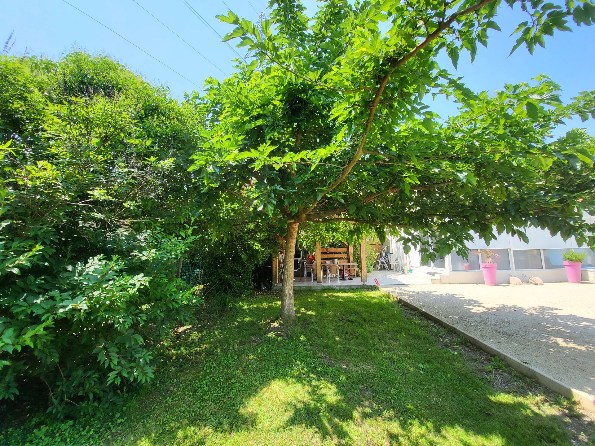 Jardin verdoyant et ensoleillé