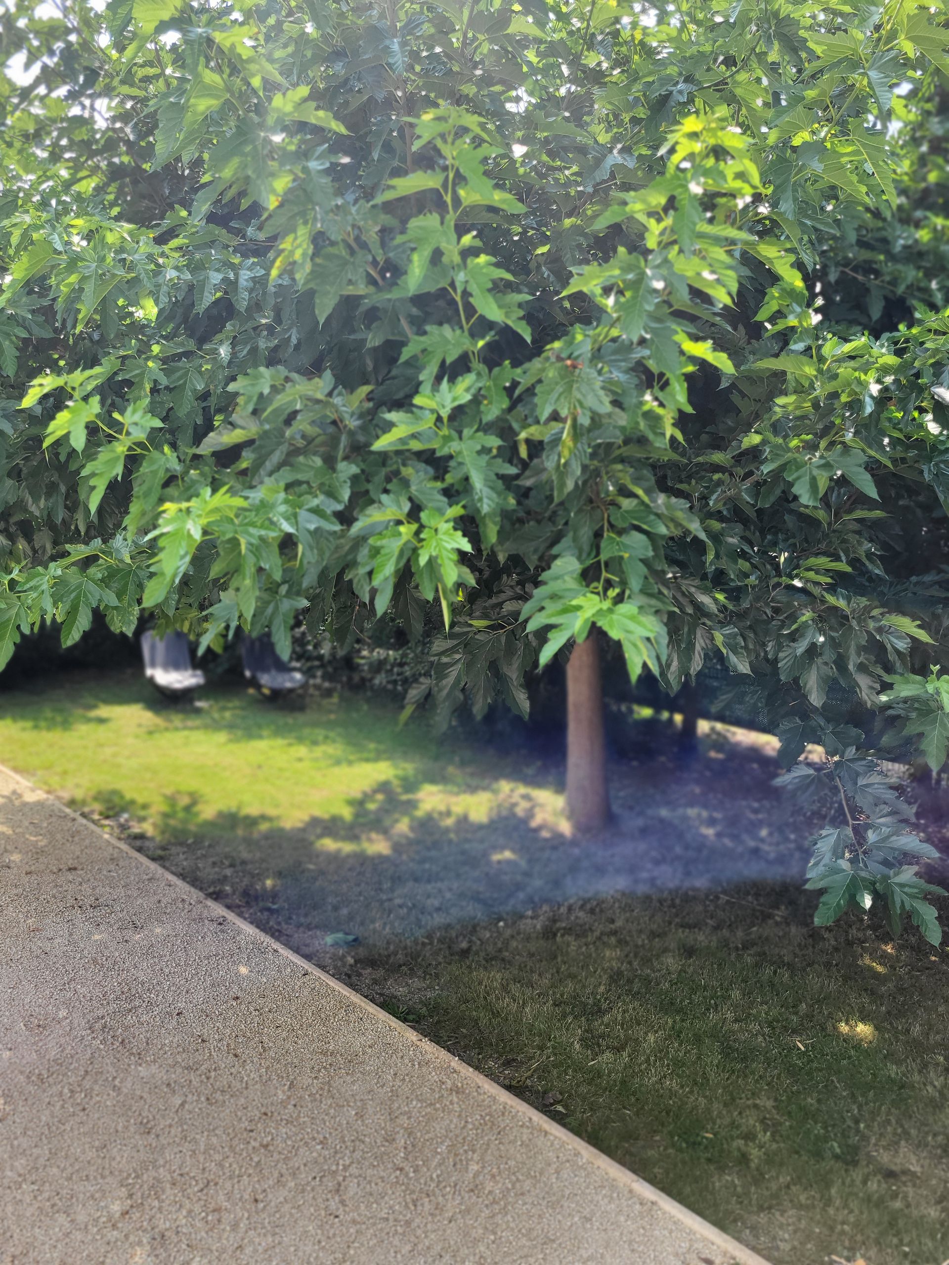 Allée en gravier extérieur