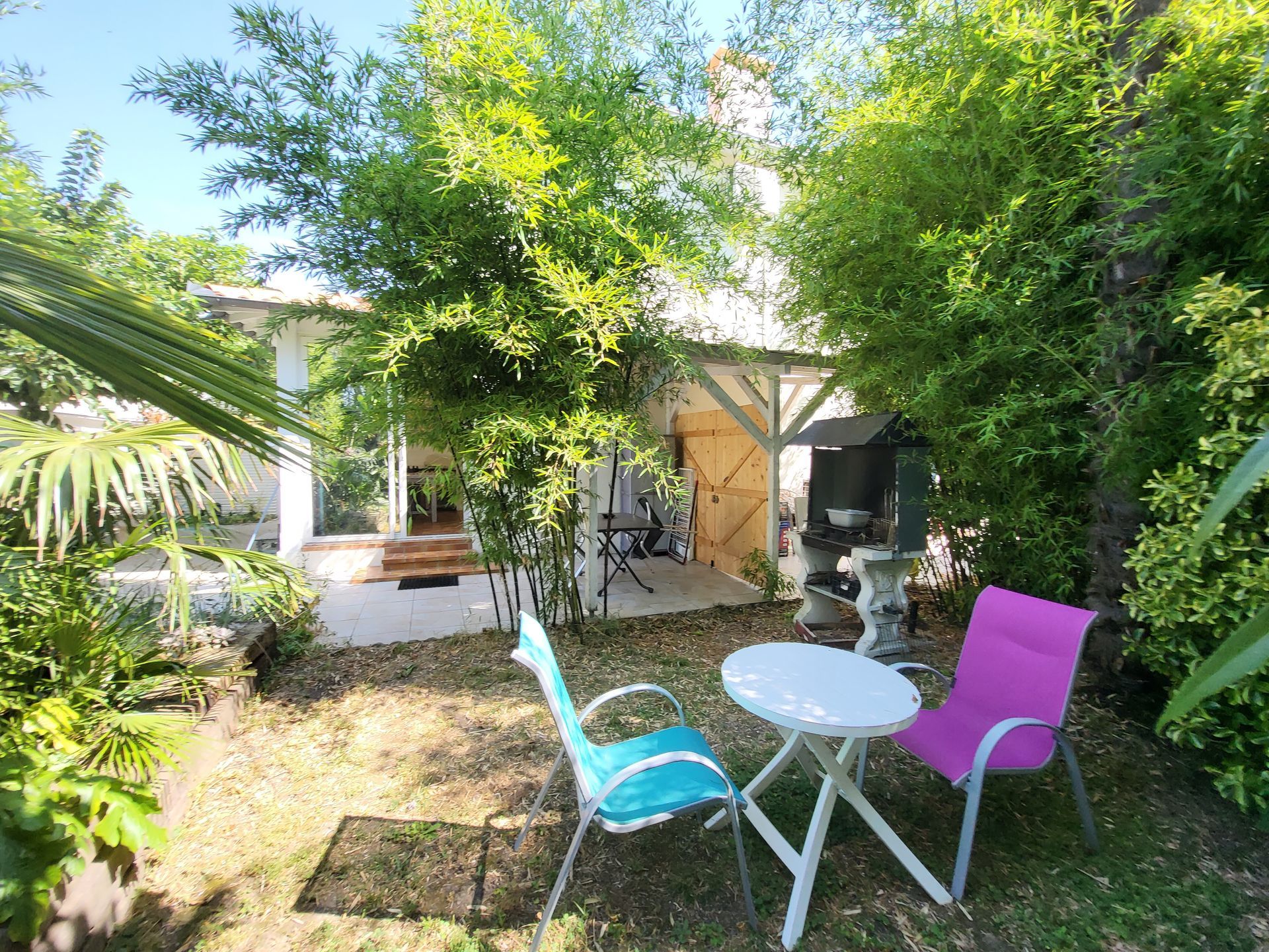 Jardin, table et parasol