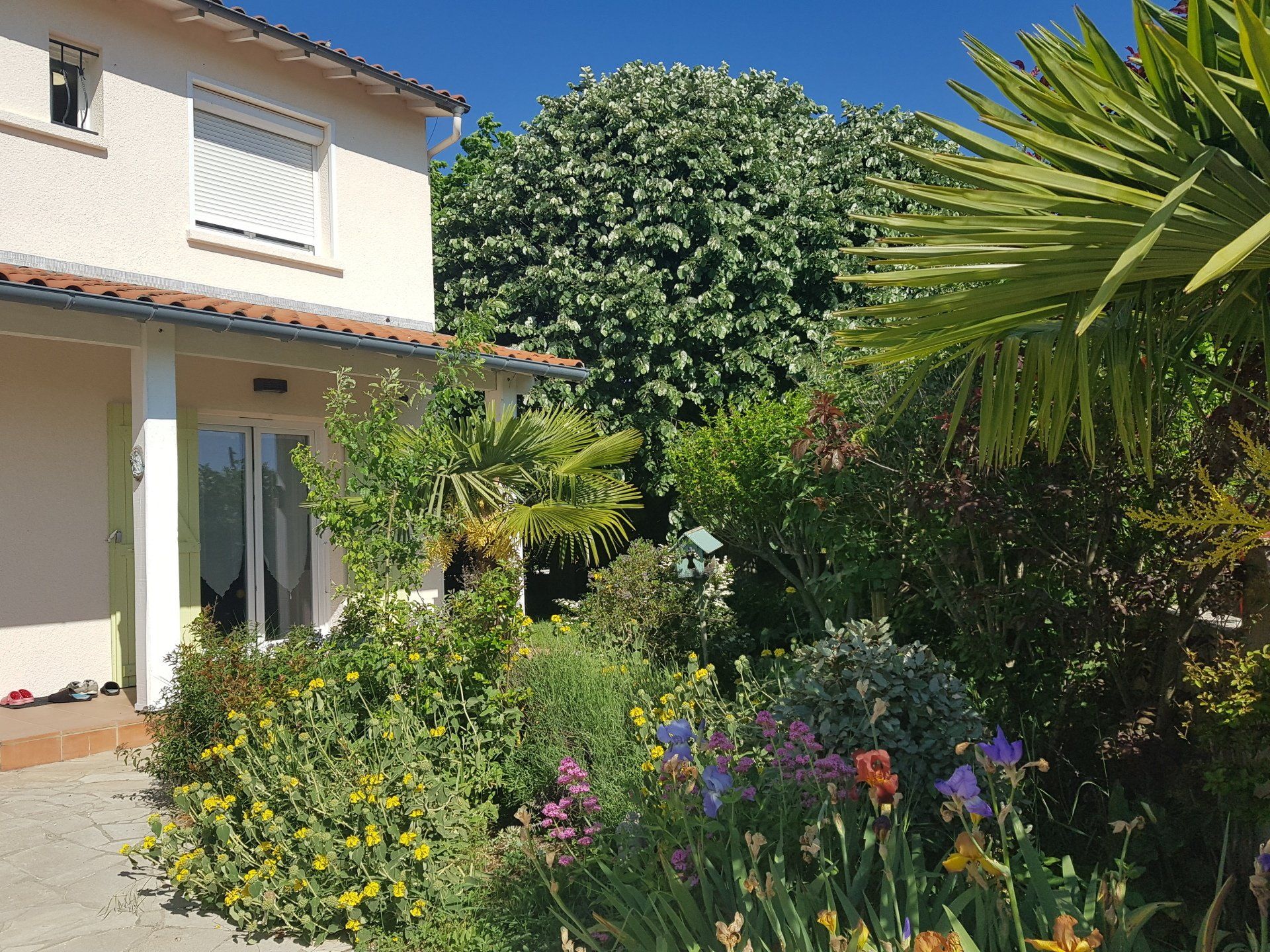 Végétation maison chambre d'hôte