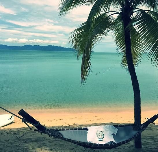 Eine Hängematte am Strand unter einer Palme