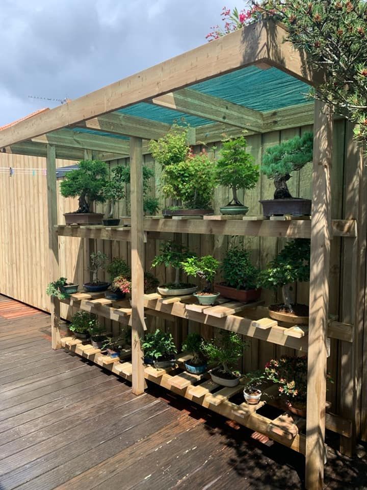 Une étagère en bois avec des plantes