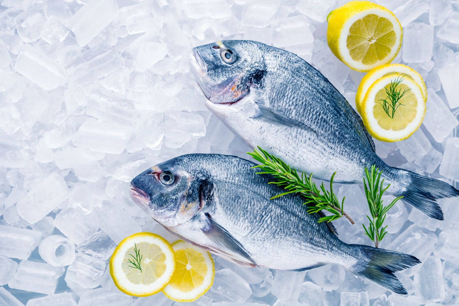 Dos peces están sentados sobre hielo con rodajas de limón y romero.