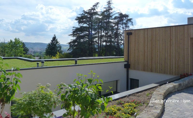 Toit végétalisé sur un bâtiment moderne, avec des arbres et un paysage urbain visible en arrière-plan par une journée ensoleillée.