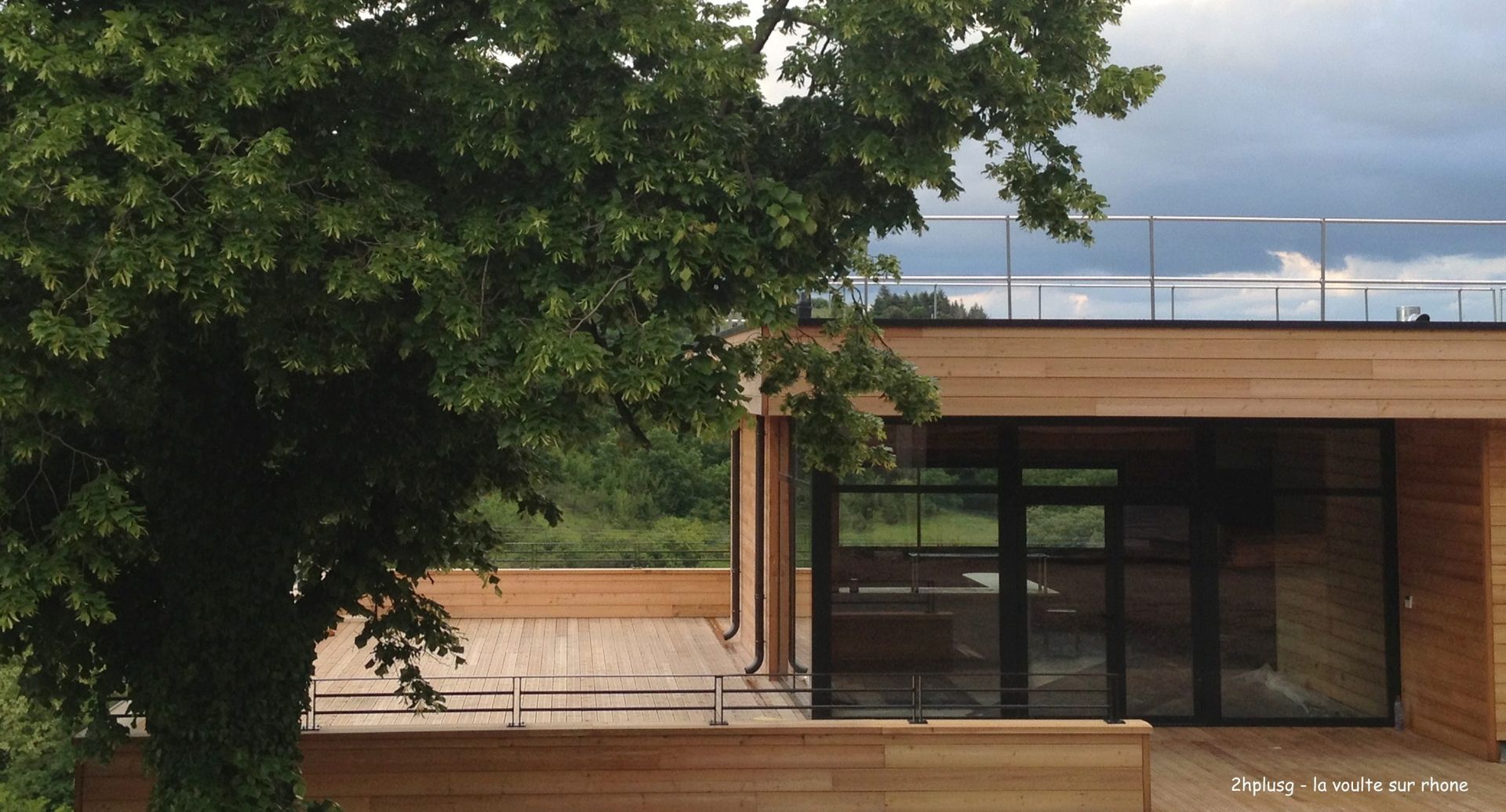 Bâtiment moderne en bois avec portes vitrées et terrasse sur le toit, encadré par un arbre verdoyant luxuriant.