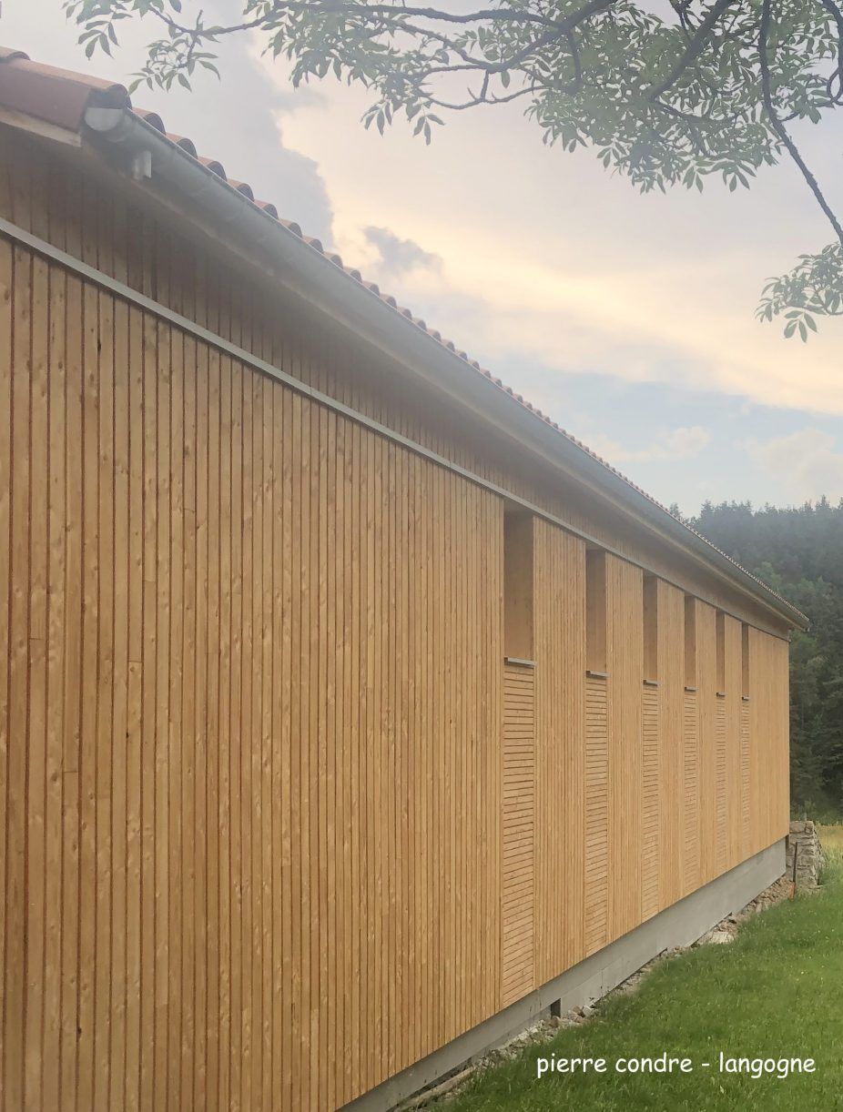Extérieur d'un bâtiment avec bardage vertical en bois et petites fenêtres rectangulaires. Ciel couvert et herbe verte.