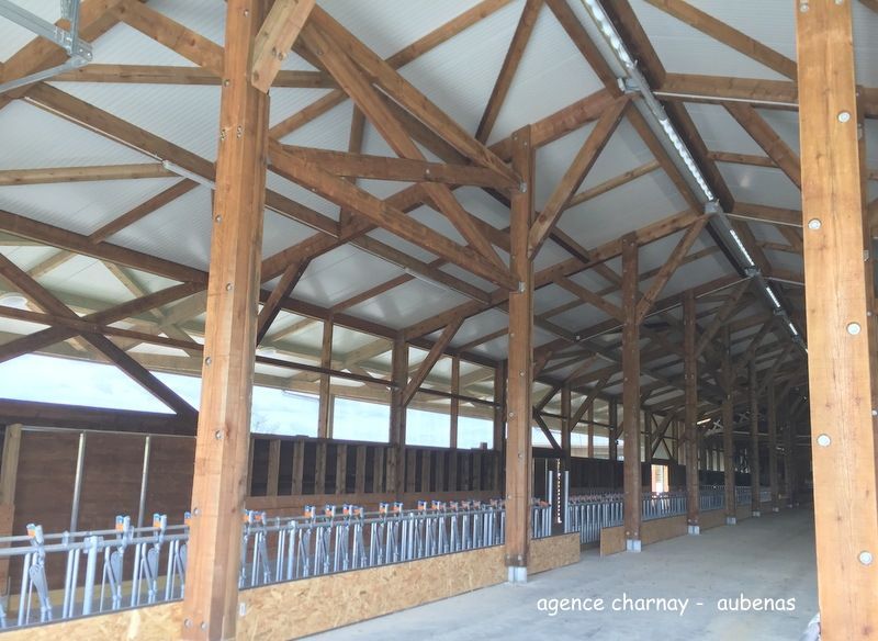 Intérieur d'une grange à ossature bois avec stalles, plafond et balustrades métalliques ; construction en cours.