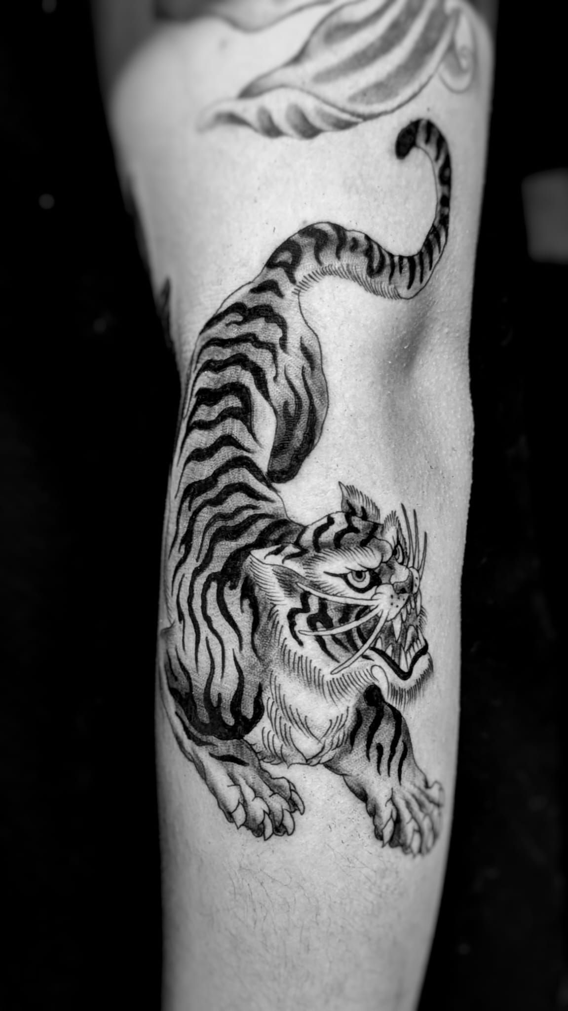Un tatuaje en blanco y negro en un brazo que muestra un tigre agazapado en una pose dinámica y estilizada.