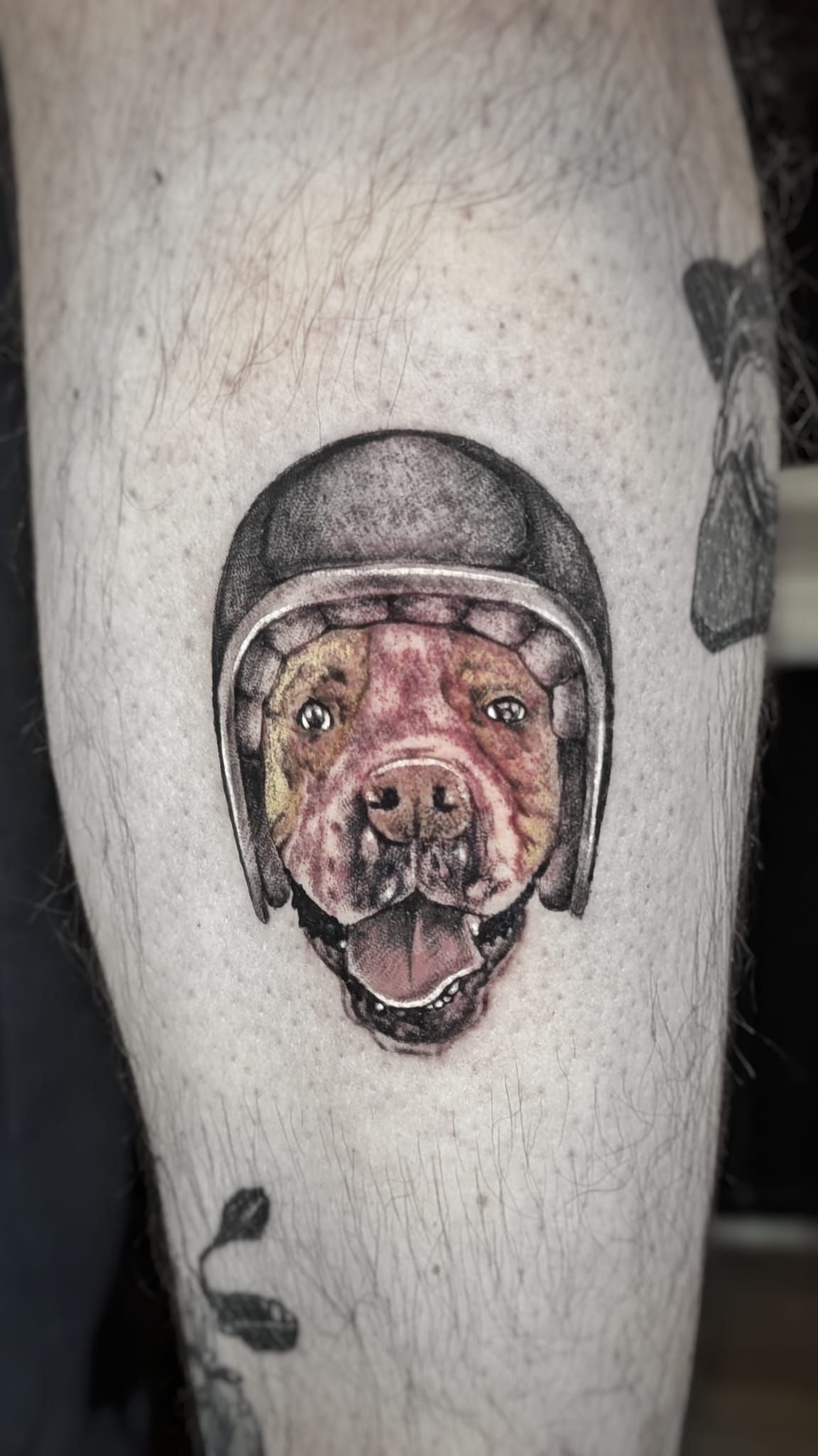Un tatuaje de un perro con casco de motocicleta en la pierna de una persona, con otro tatuaje más pequeño, parcialmente visible, cerca.