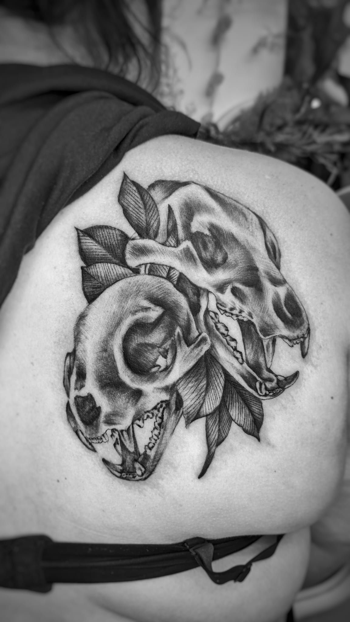 Un tatuaje en blanco y negro en el omóplato que muestra dos cráneos de animales entrelazados con hojas.