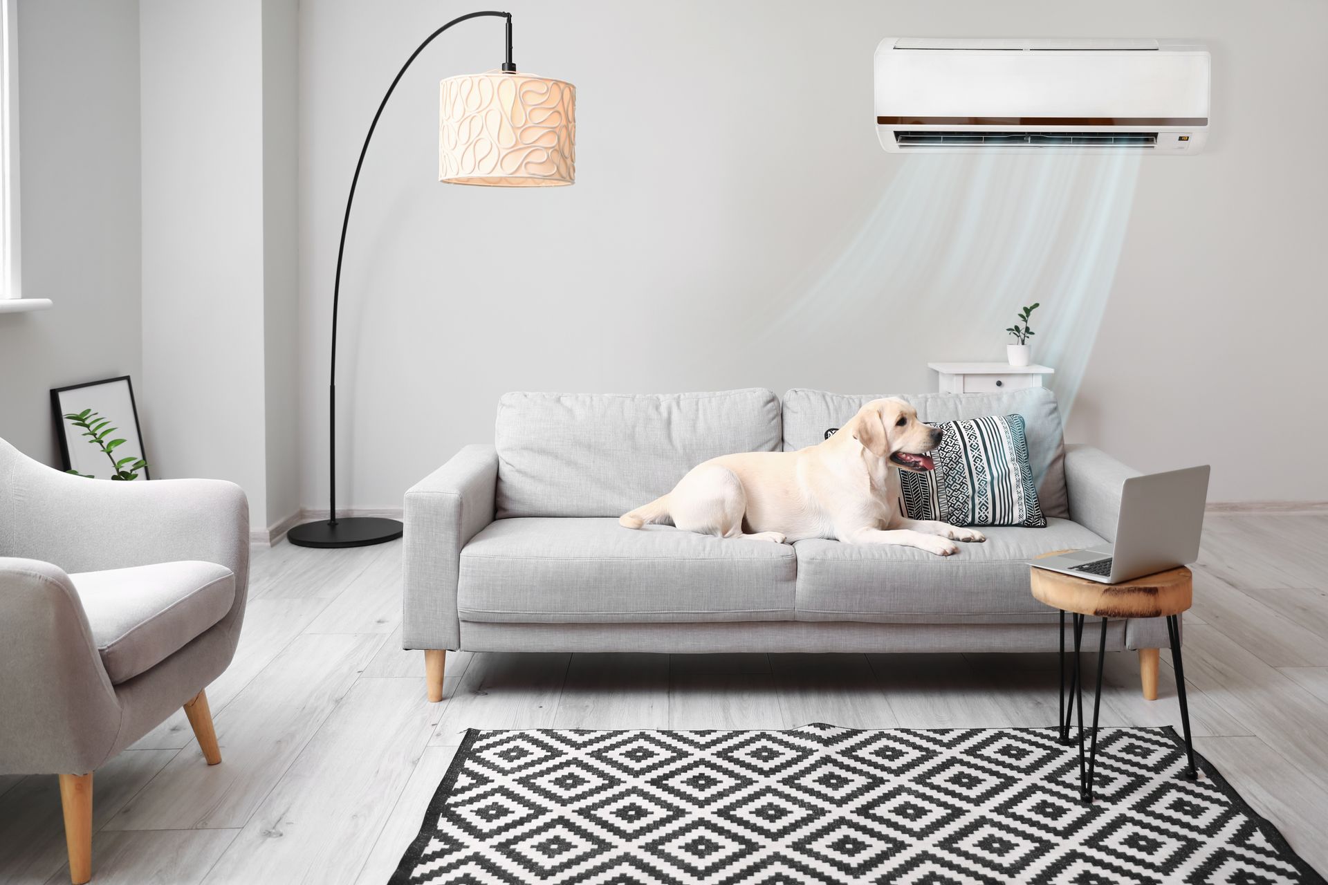 Salon lumineux avec un canapé gris, une lampe, un tapis, un climatiseur et un chien qui se repose sur le canapé.