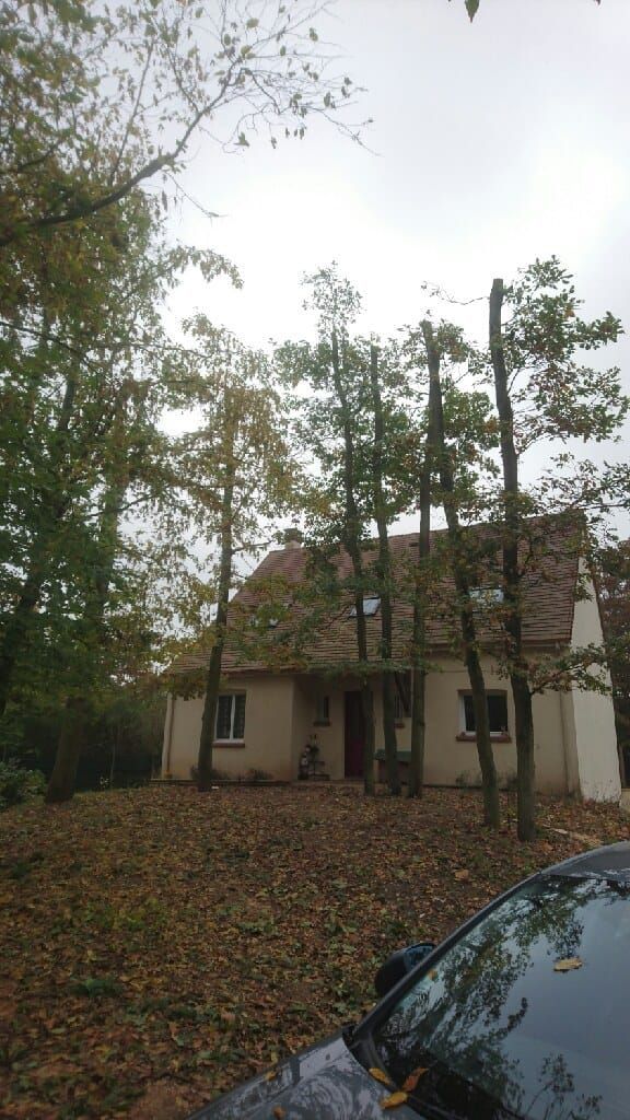 Entretien d'arbres près d'une maison