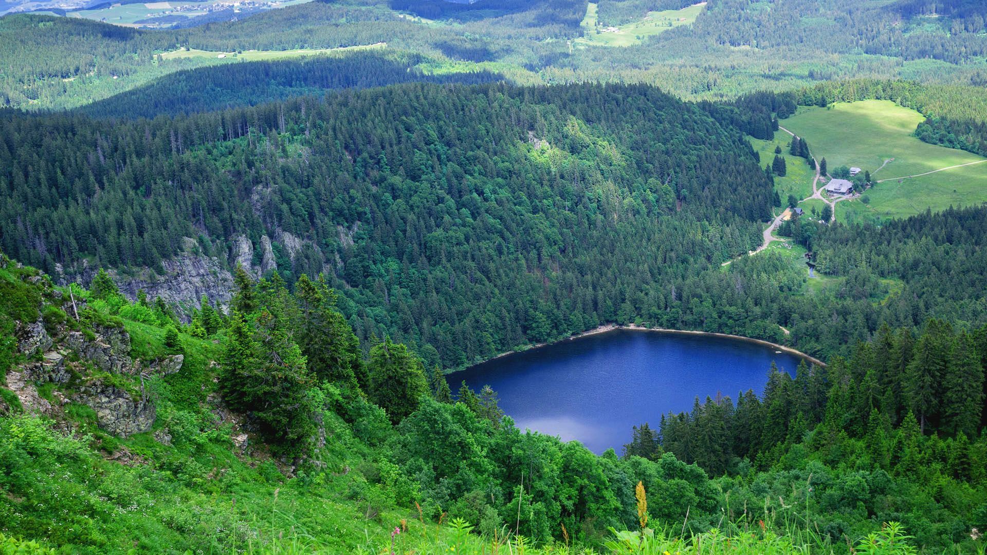 ein blauer See inmitten eines grünen Waldes